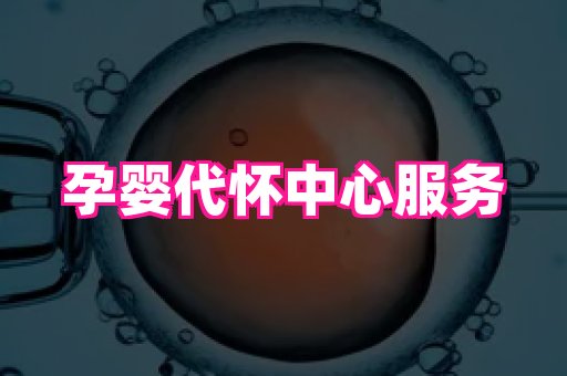 权威助孕网 1