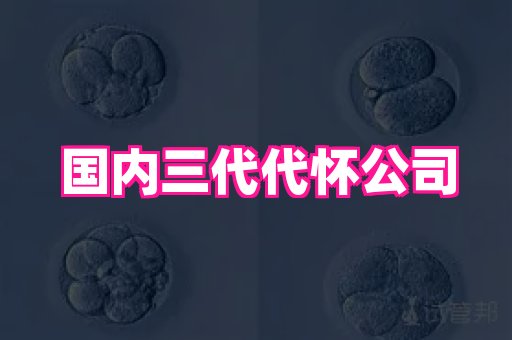 权威助孕网 3